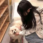 朝歌倚剑游戏下载